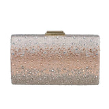 Clutch Cerimonia Anna Cecere ACA629